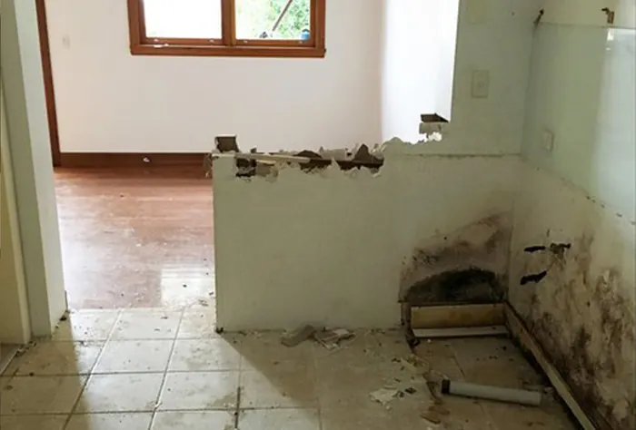 Antes: Cocina — abierta con isla